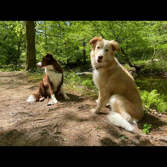 Meet your Posher, MK - Picture 2 of 2